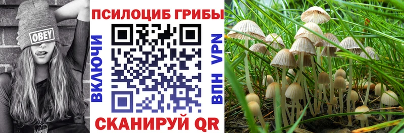 Псилоцибиновые грибы ЛСД  Ленинск 